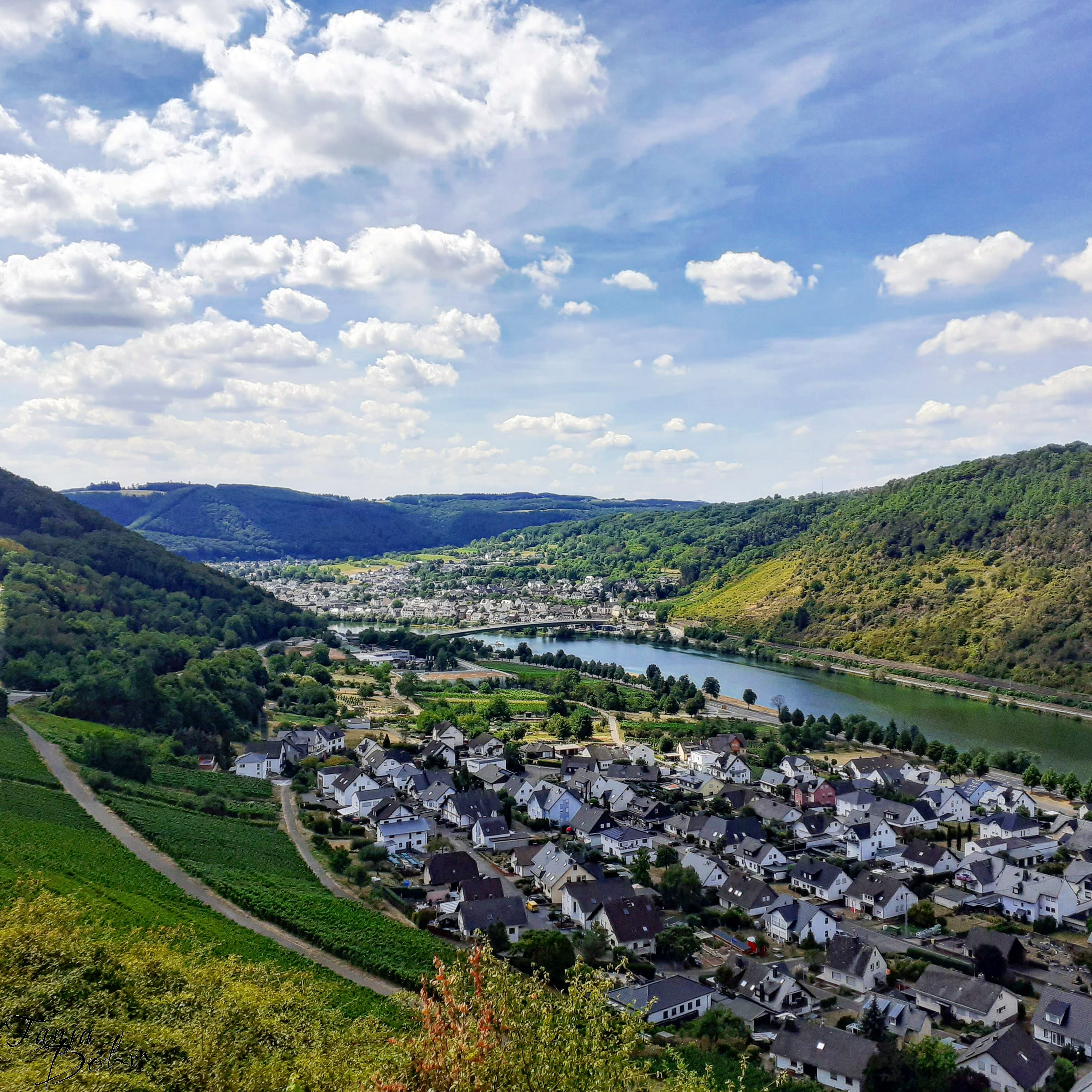 alkenmoseltal