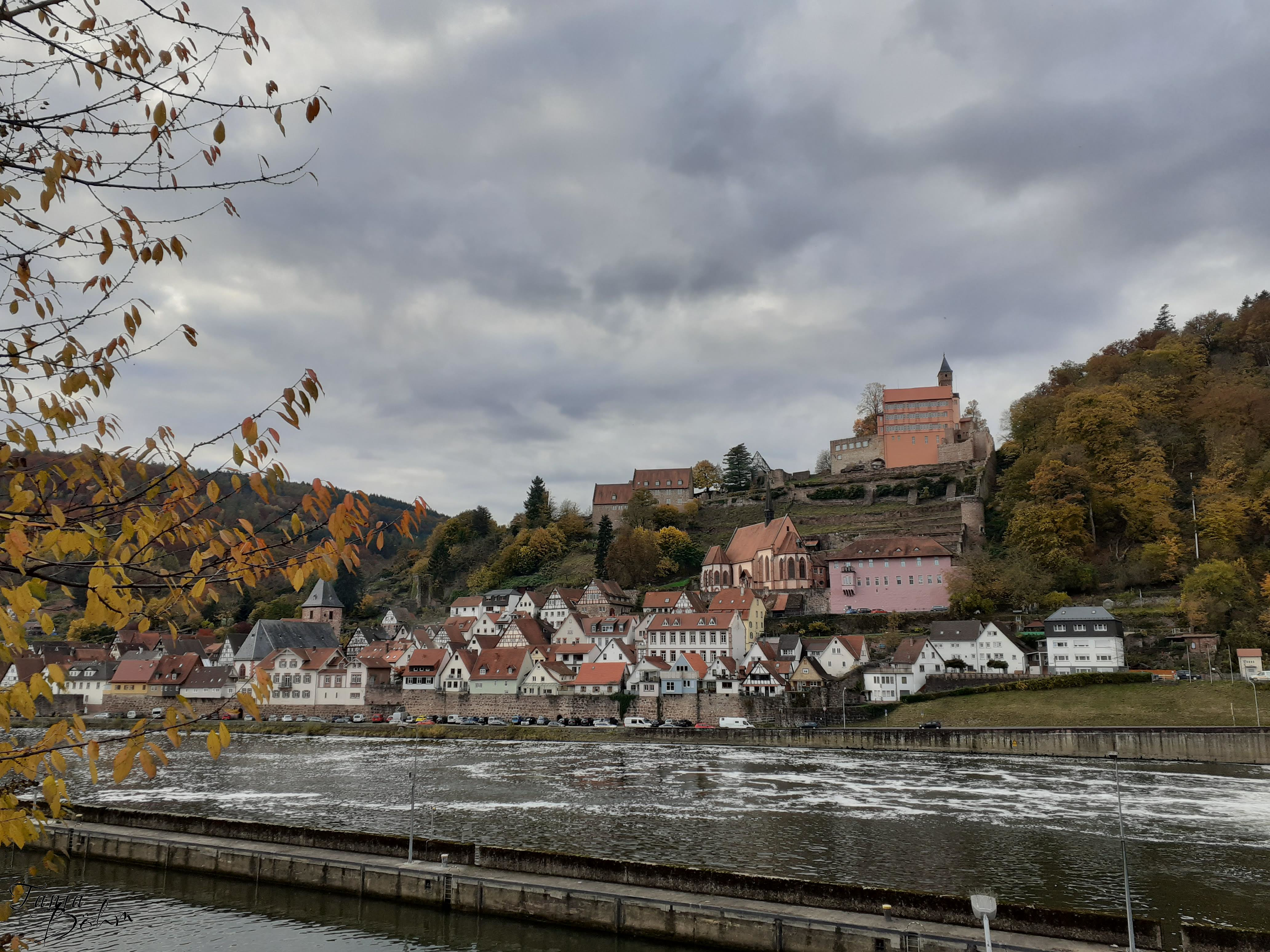 hirschhornamneckar