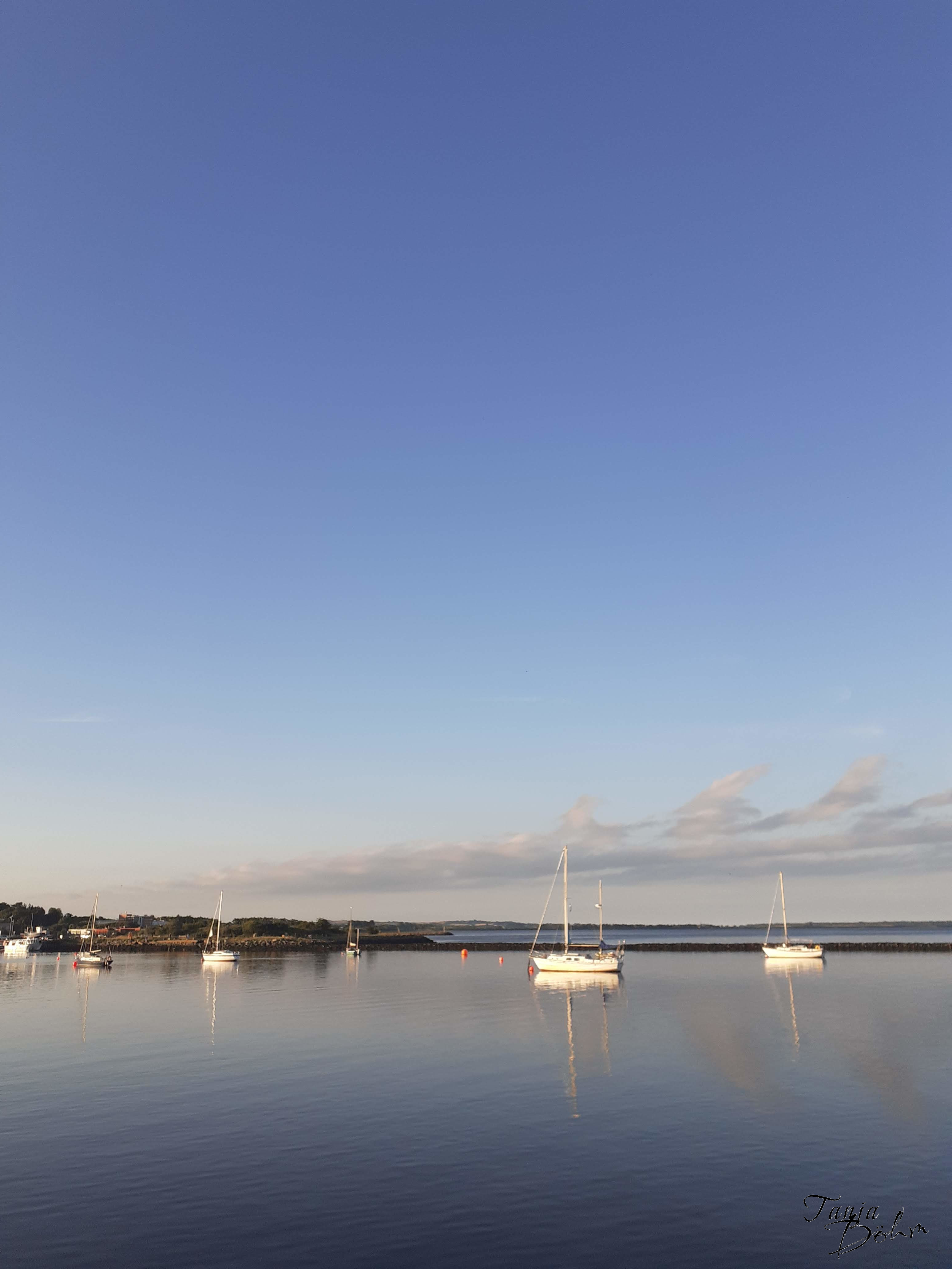 wexfordsea